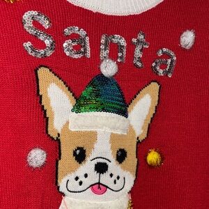 Santa Paws red Sweater